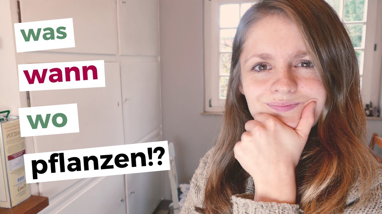 🌱 Gem&uuml;segarten-Pflanzplan erstellen in 6 Schritten: Mischkultur, Fruchtfolge, gestaffelte Ernte&hellip; 💪