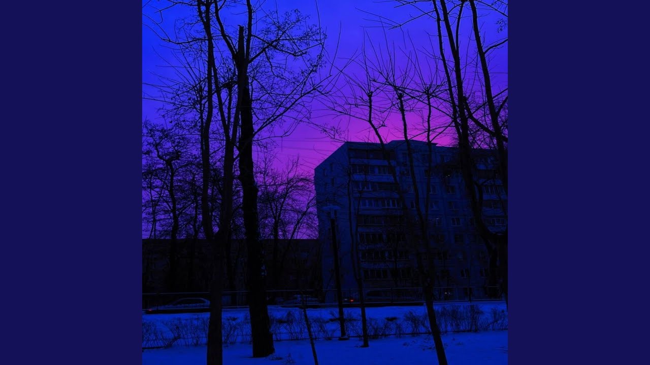 Black Horizon