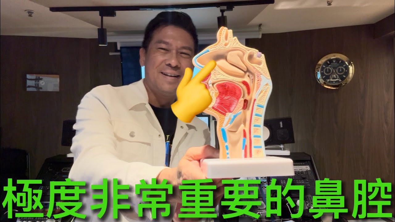極度非常重要的鼻腔！