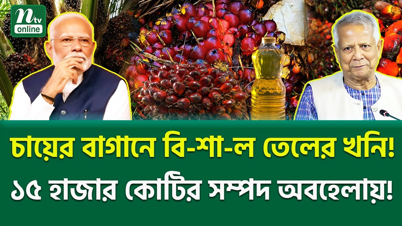 ভোজ্য তেলে স্বয়ম্ভর হচ্ছে বাংলাদেশ? | Bangladesh future energy | NTV News