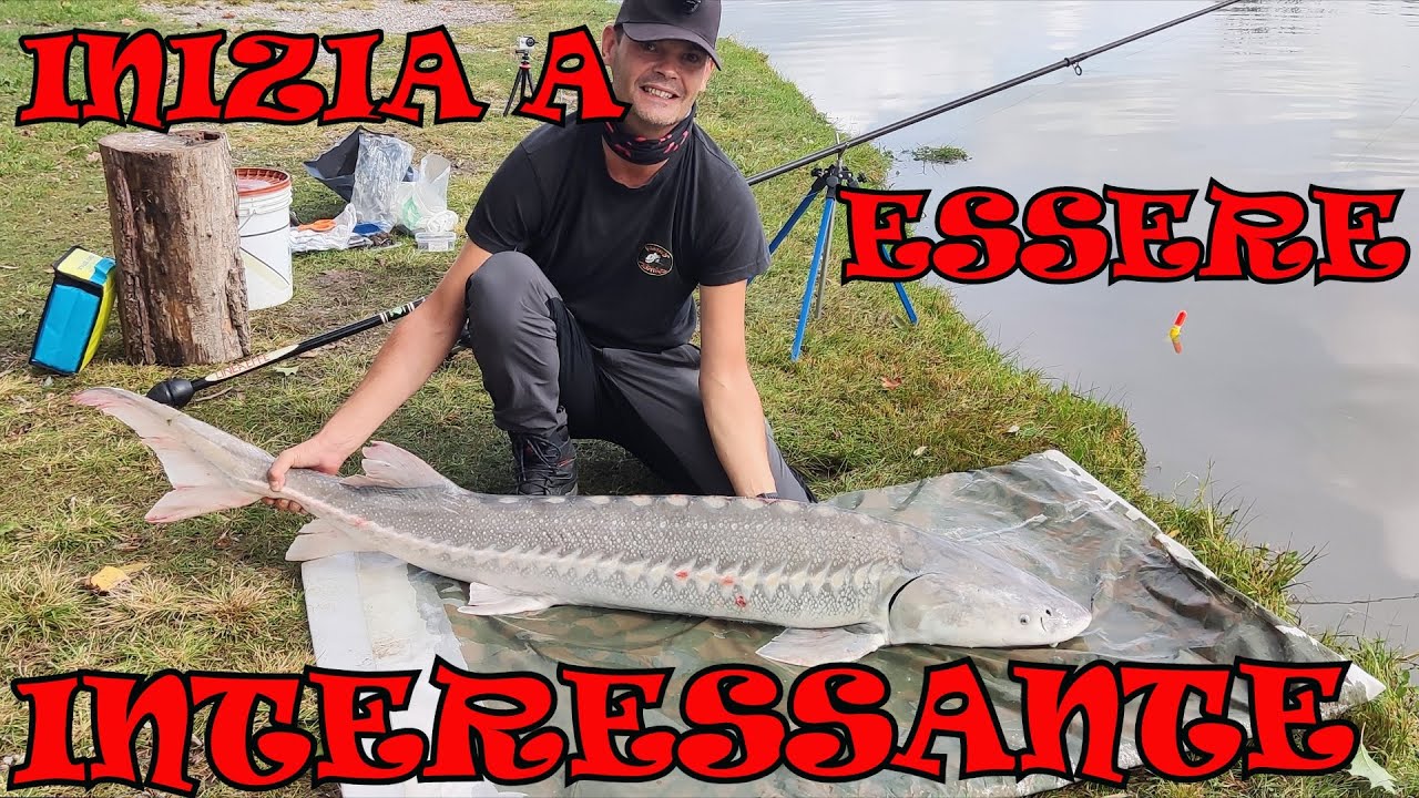 PESCA ALLO STORIONE : INIZIA A ESSERE INTERESSANTE
