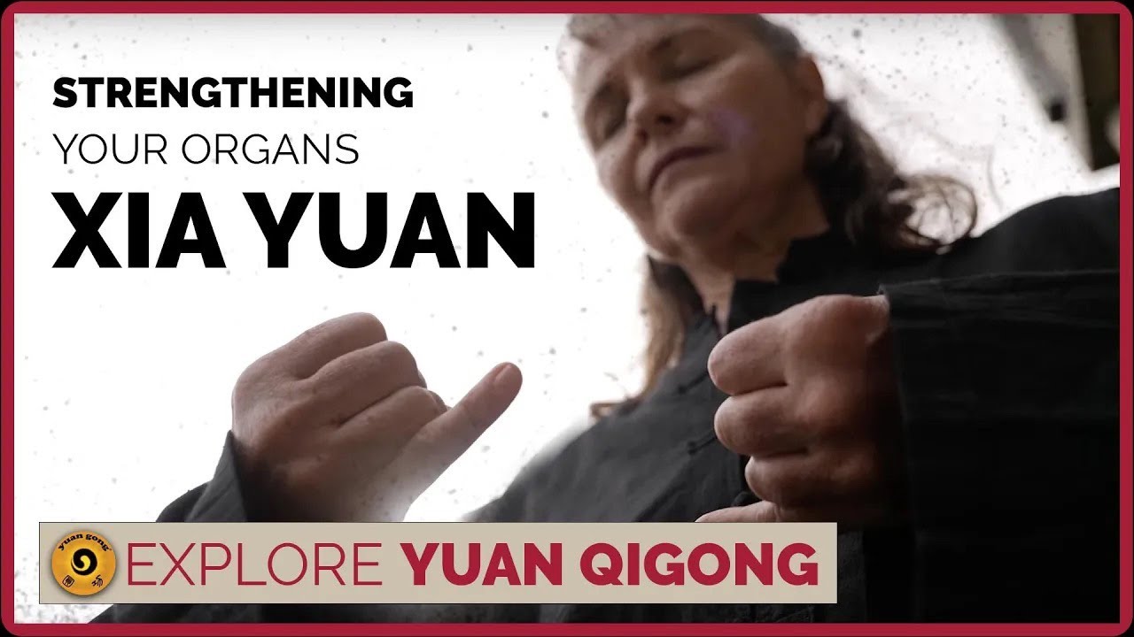 Yuan Qigong: The Most Powerful Organ Strengthening Techniques