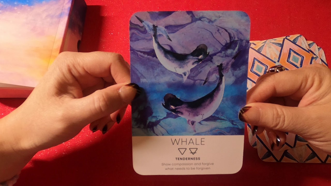 Spirit Animal Wisdom Card Deck - Flip Through