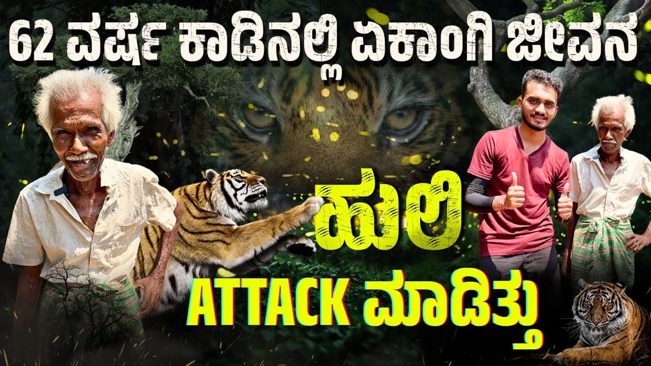 ಪಶ್ಚಿಮ ಘಾಟ್ಸ್ ಮಳೆಕಾಡಿನಲ್ಲಿ ಏಕಾಂಗಿ ಜೀವನ #westernghats #forest #karnataka @Gandhadagudivlogss