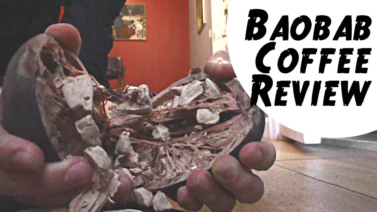 Baobab Seed Coffee Substitute - That's Not Coffee! (Review and Recipe)