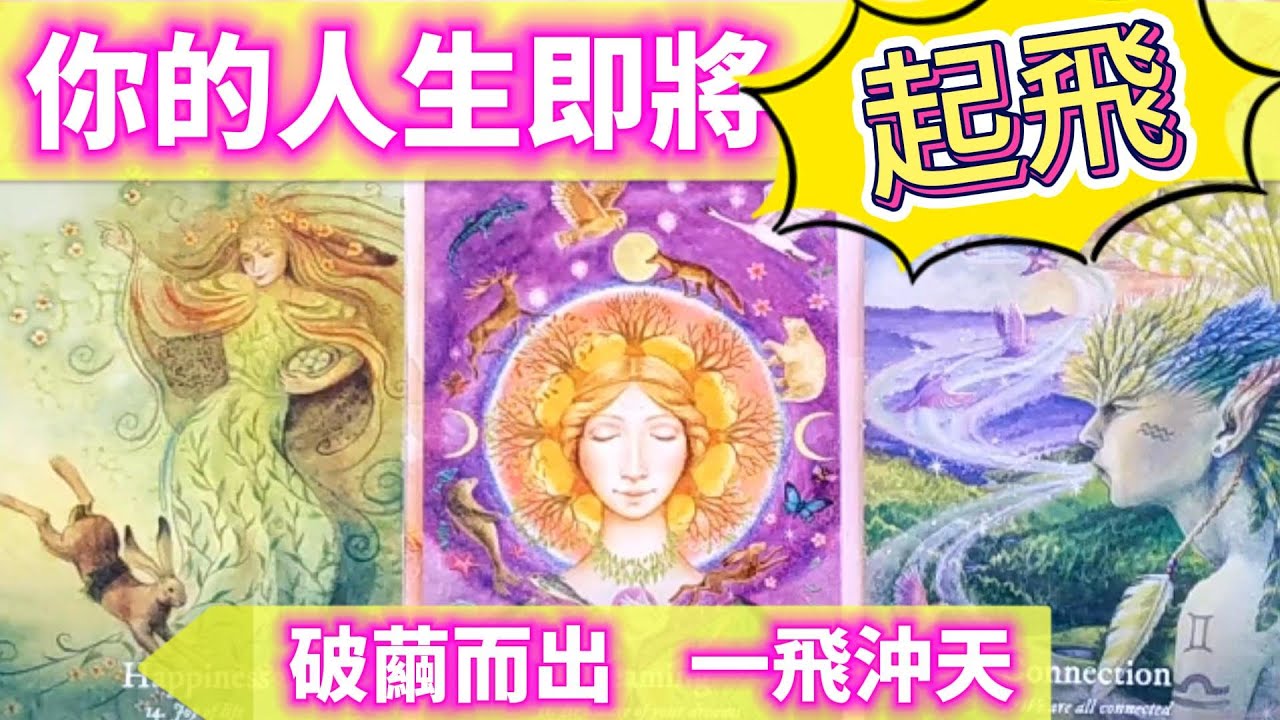 #QQ塔羅【8.8獅子門戶】你的人生哪方面即將一飛沖天？事業/感情/財運/人脈/健康/婚姻/家庭/貴人/機遇 運勢 占卜 預測