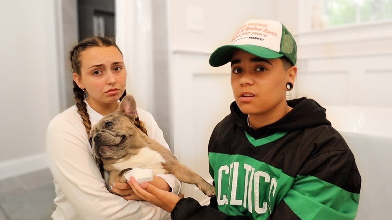 Our Puppy Got Hurt..