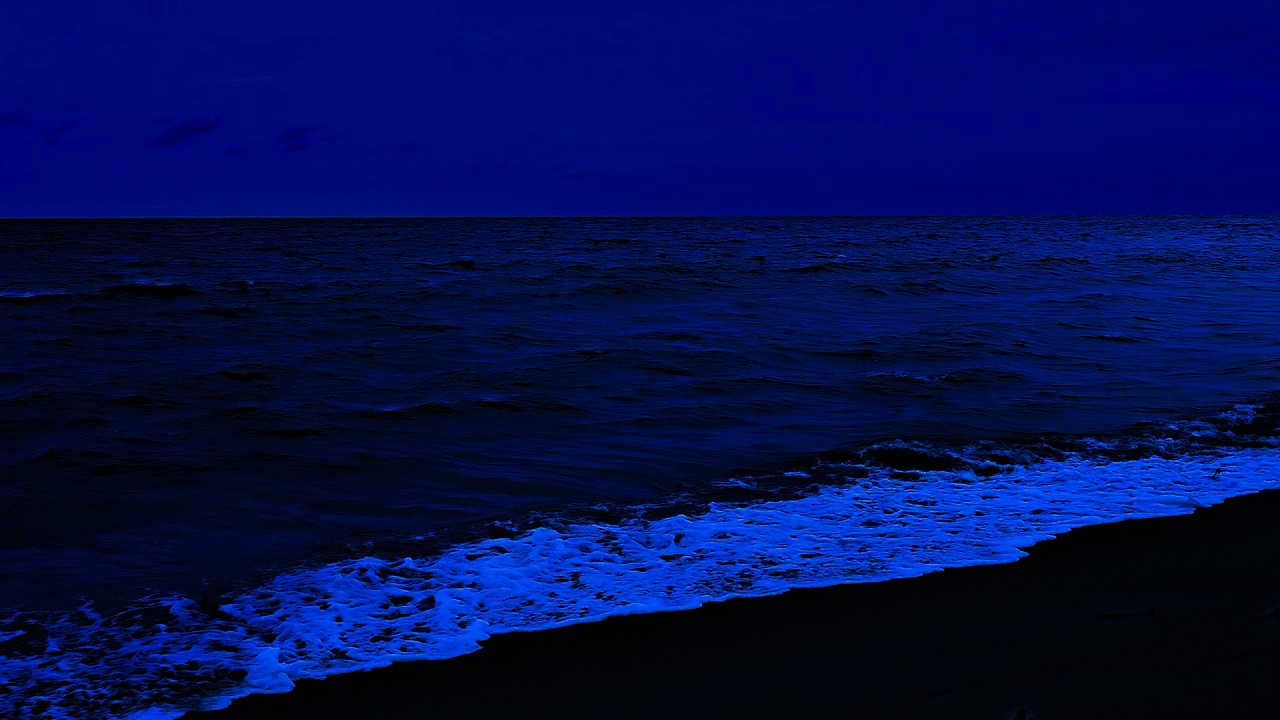 Deep Sleeping 10 Hours – Calm Night Ocean Waves for Relaxation and Emotional Balance