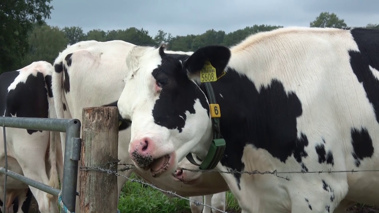 1214 landgoed Eerde bij Ommen