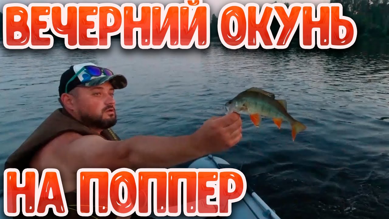 Окунь на поппер | Ловим много окуня на Томи:)