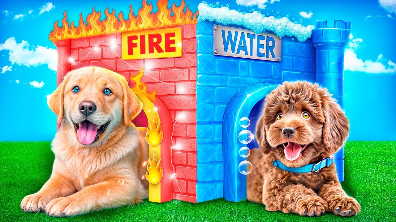 Fire vs Water Pets! How to Make Pet Houses!