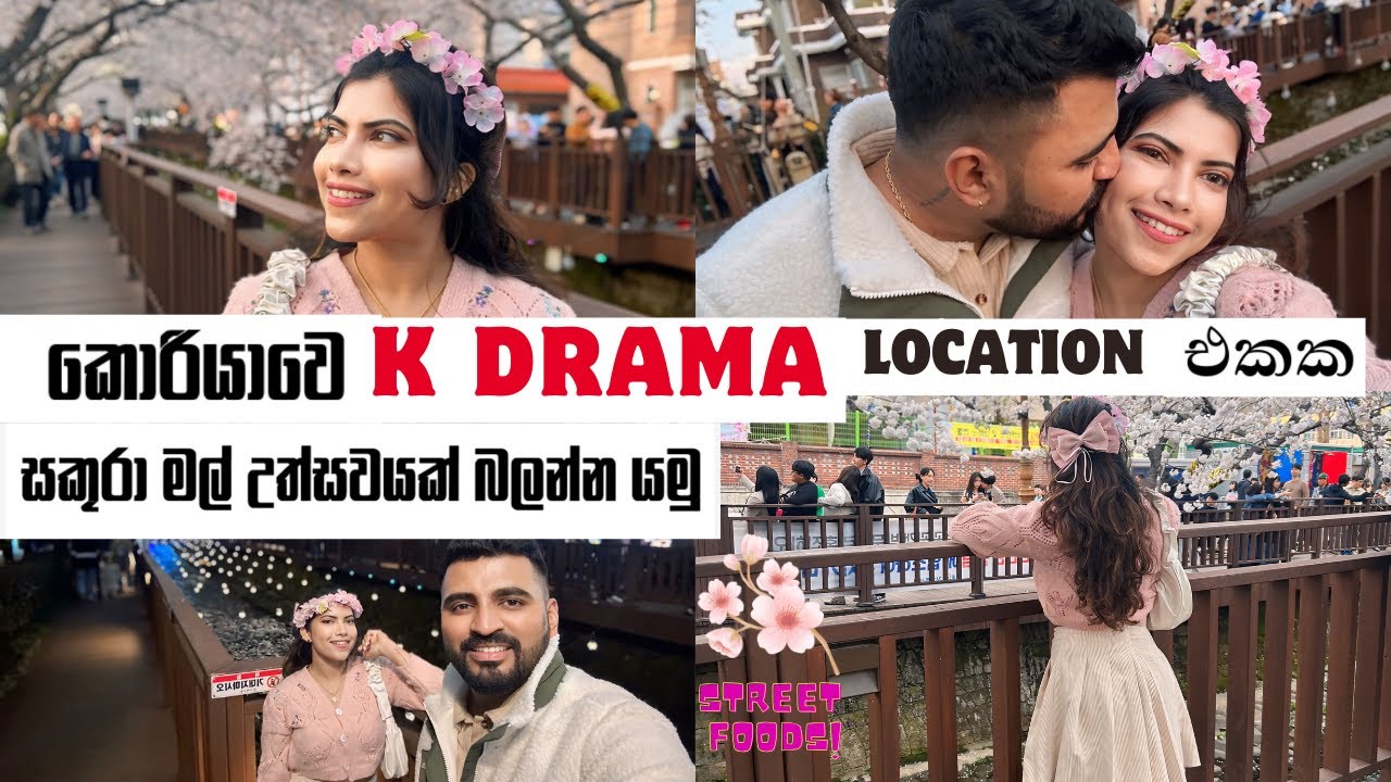 කොරියාවෙ  jinhae සකුරා මල් උත්සවය 🇰🇷🌸 | K drama location 🥹|GYEONGHWA STATION 🚉🌸 | street foods 🌮🌭