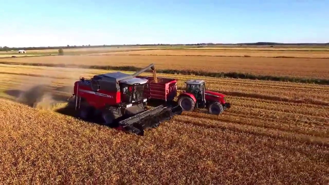 Kombainas MF 7344 Activa