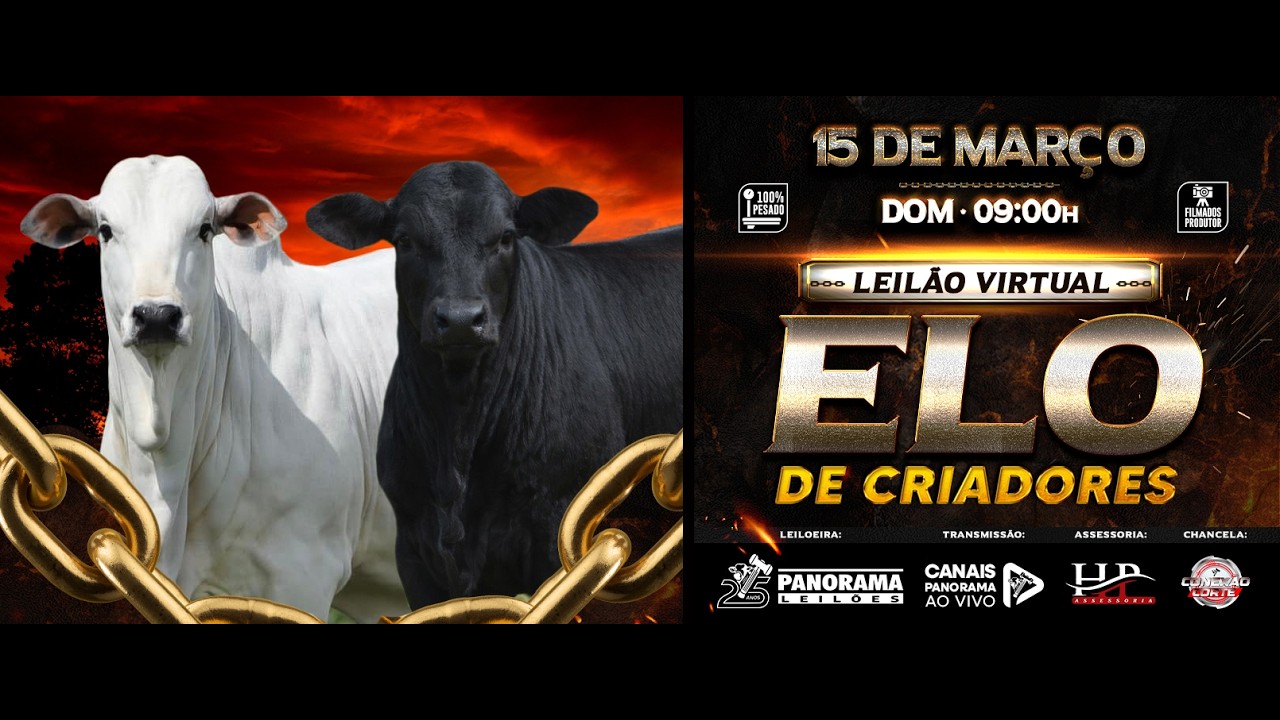 LEILAO VIRTUAL ELO DE CRIADORES