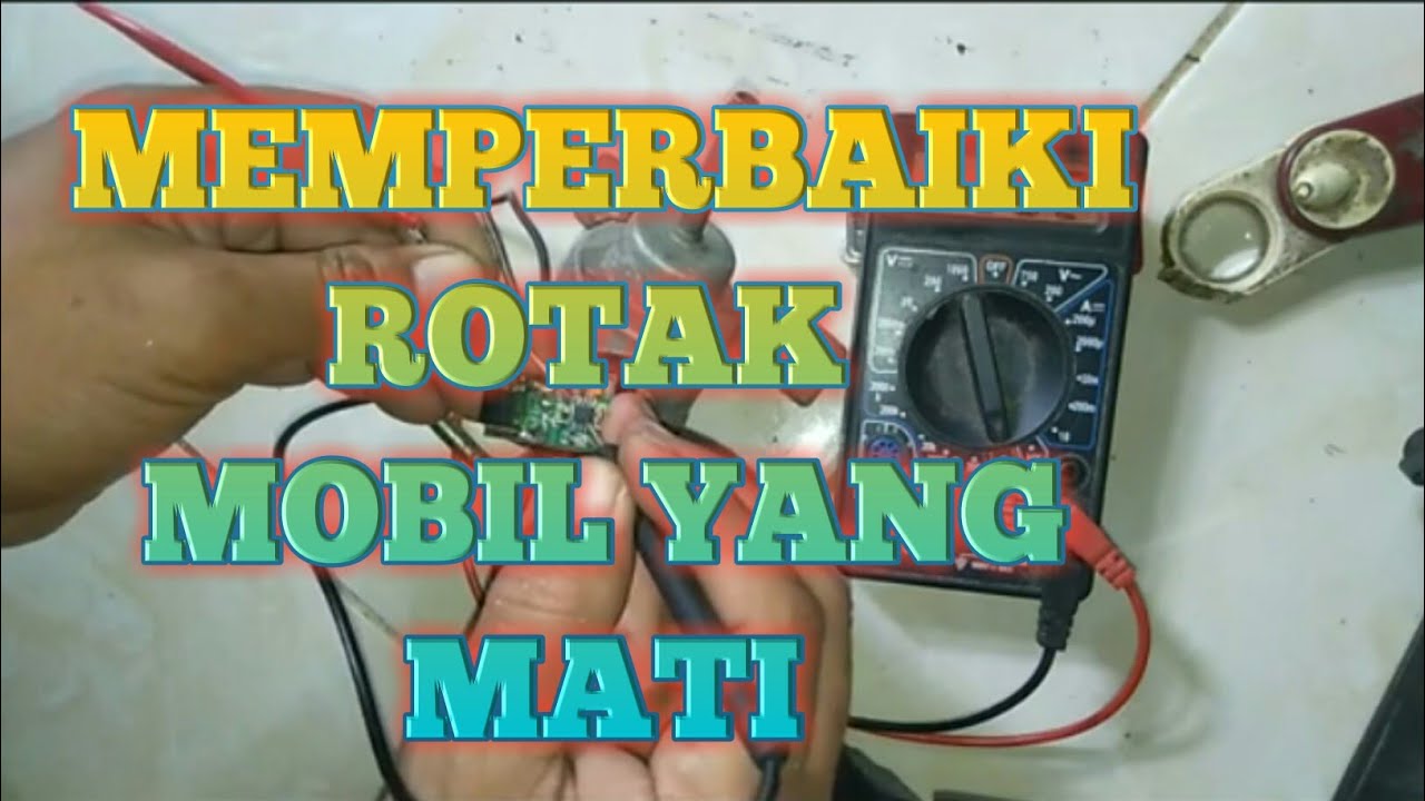 Zebra 1.3 mogok Rotak mati