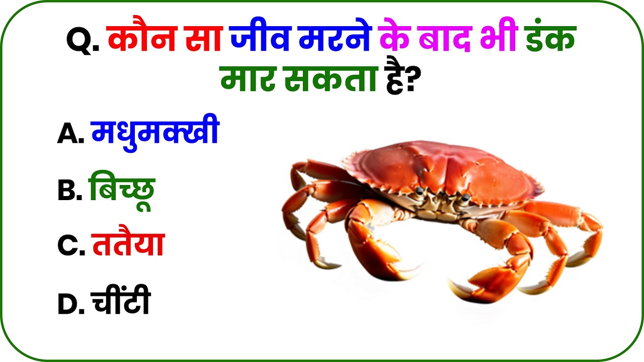सामान्य ज्ञान || General Knowledge Most Important Question || GK Question || GK Quiz || Gk ||