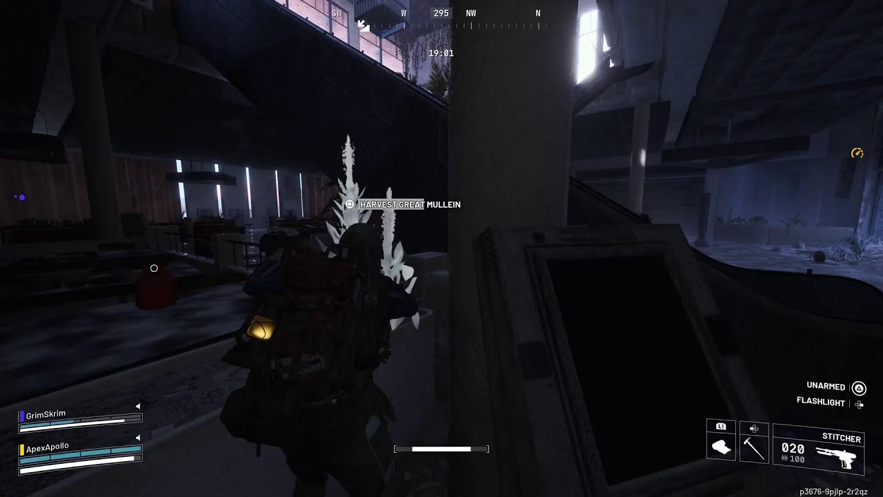 Raiders pov