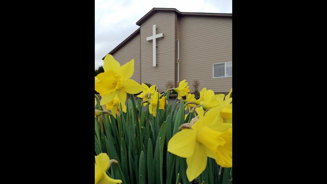 Trusting God's Plan - 2/8/2026 - Immanuel's Reformed Church