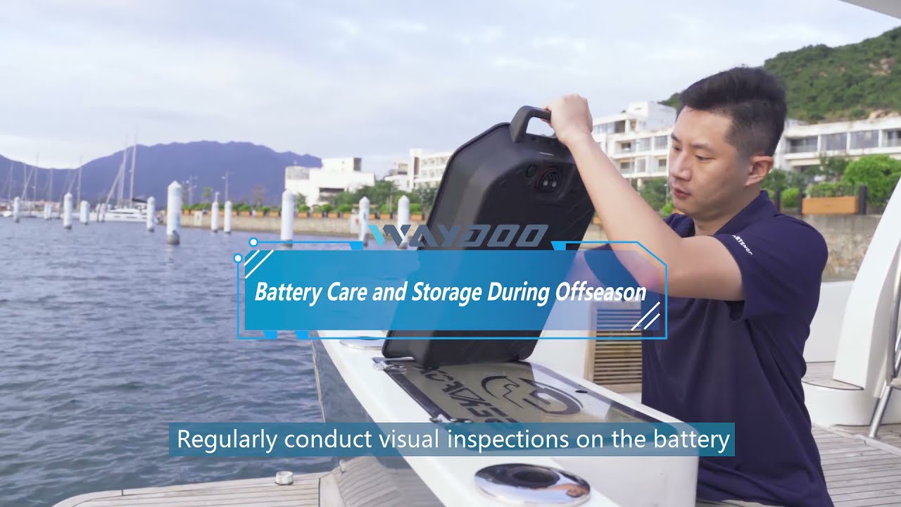 General cleaning and Maintenance for Waydoo Flyer ONE