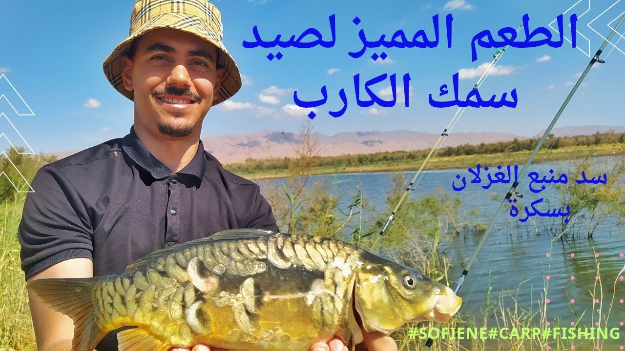 الطعم المميز لصيد سمك الكارب #sofiene #carpfishing 