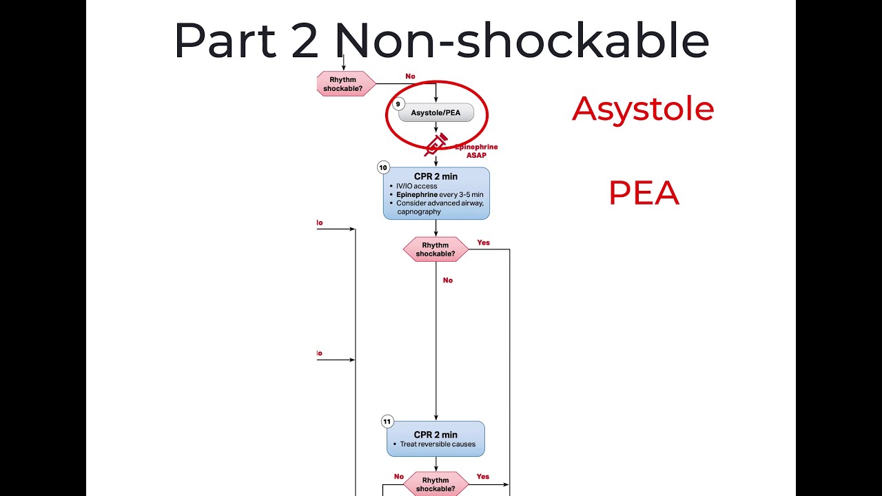 Cardiac arrest part 2 non shockable - ACLS 2020