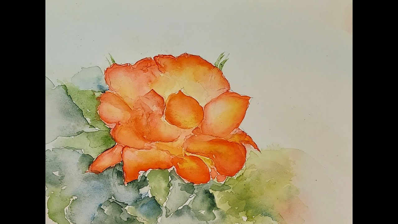Paint a vibrant Scarlet Rose! - The Spirit of Watercolor