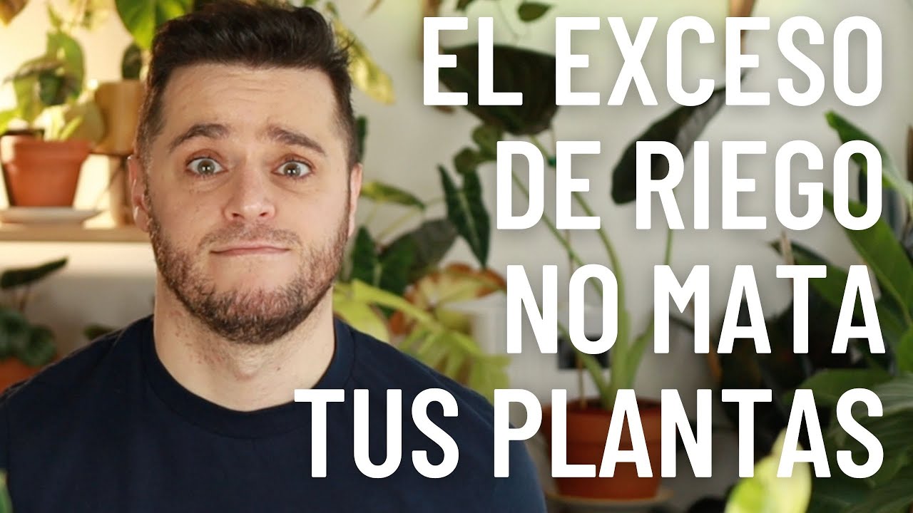 El Exceso de Riego No Mata a Tus Plantas