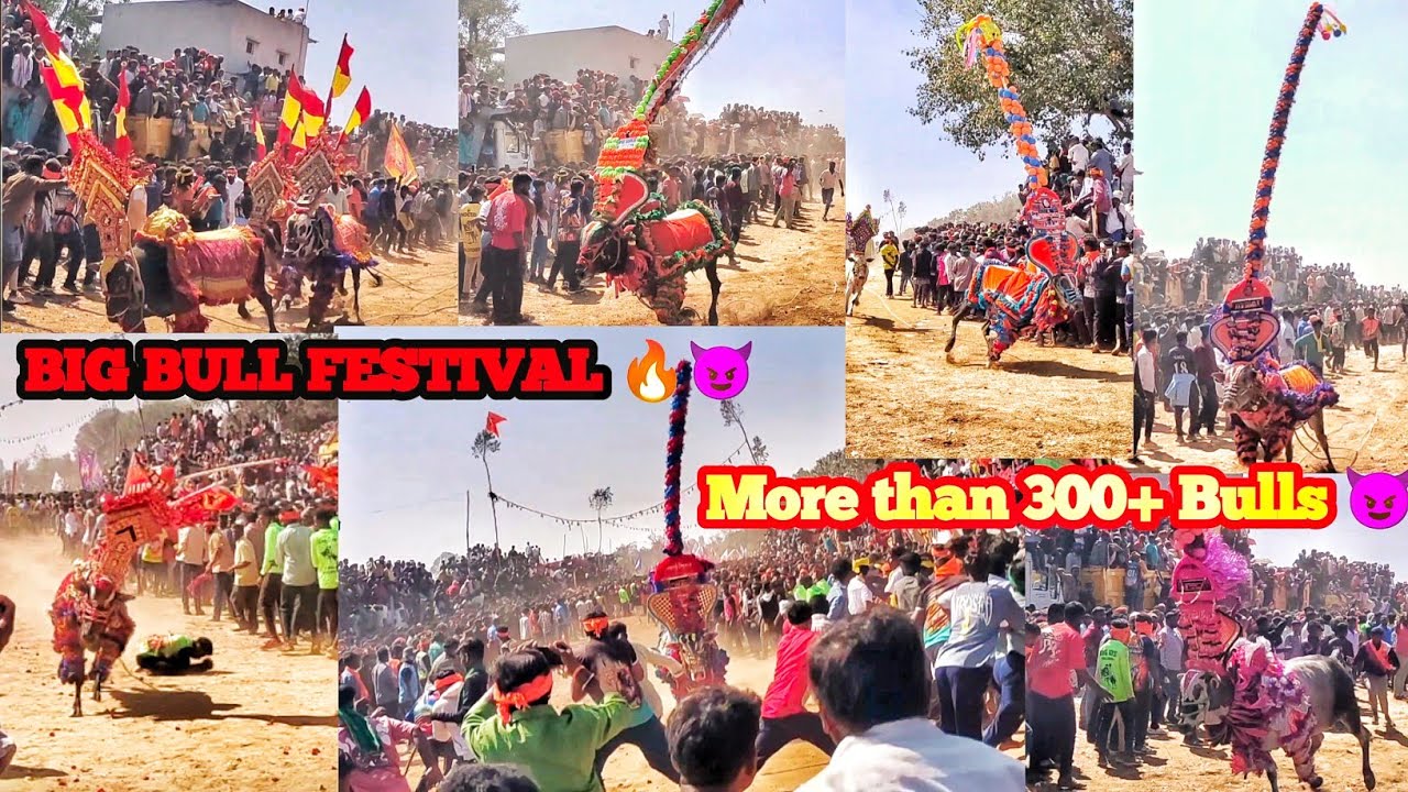 Bukkasagaram jallikattu 🔥😈 2026 | Jallikattu bukkasagaram