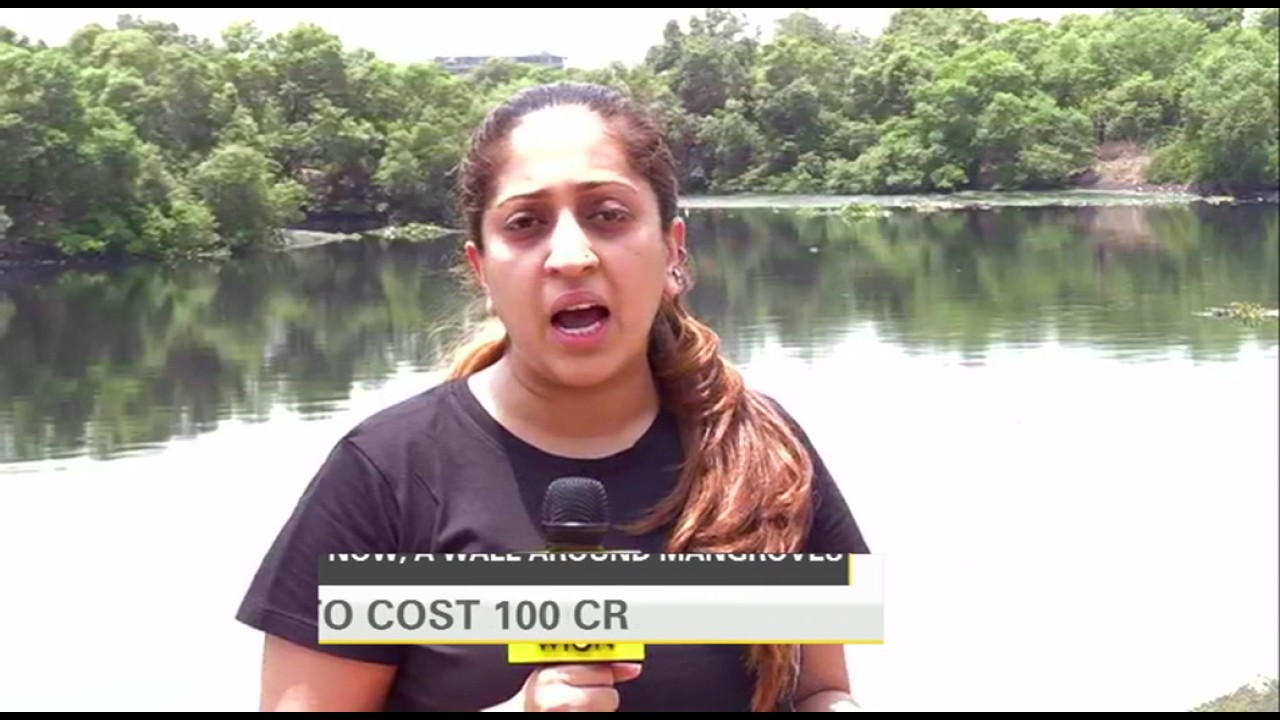 Mumbai's mangroves to be walled off