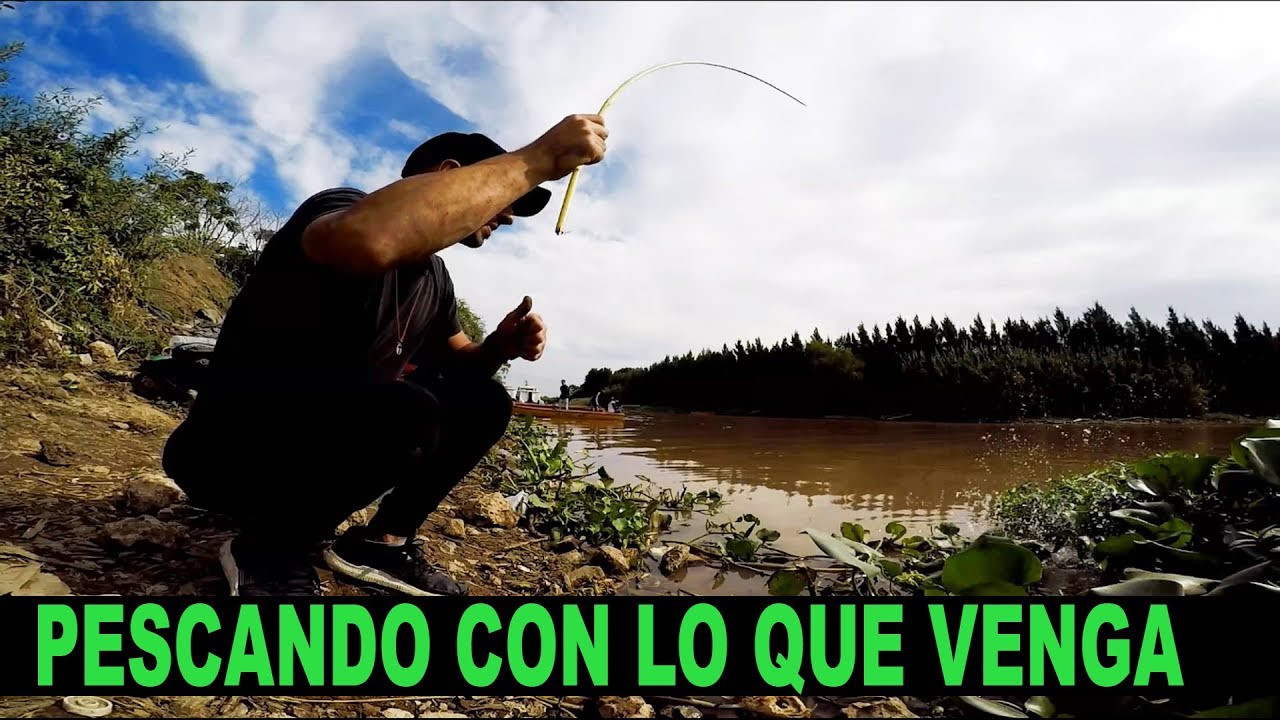 PESCA CON CAÑA DE BAMBÚ Y LINEAS DE MANO, PESCA URBANA / Street Fishing