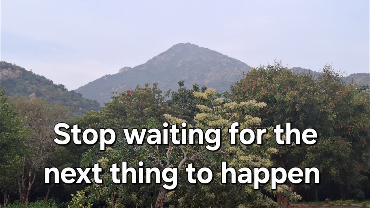 Stop waiting for the next thing to happen ~ Satsang with Rishi 10.01.25 (private group meeting)