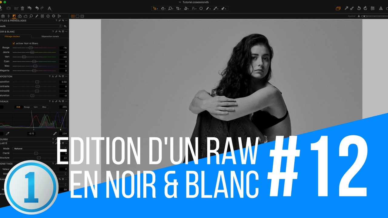 #12 - Traitement d'un Fichier RAW en Noir & Blanc avec Capture One 10 (français)