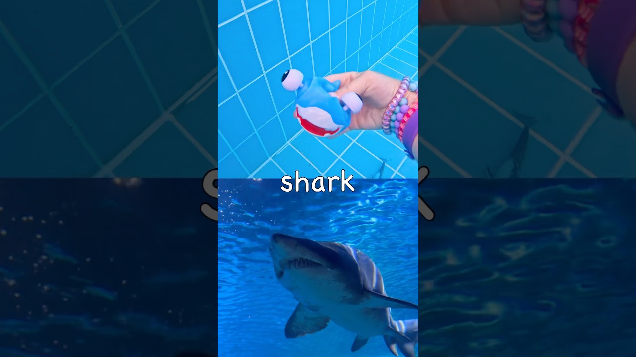 Sink or Float | Learn Sea Animal Names at the Pool for Kids: Starfish Eel Blue Whale Stingray Shark