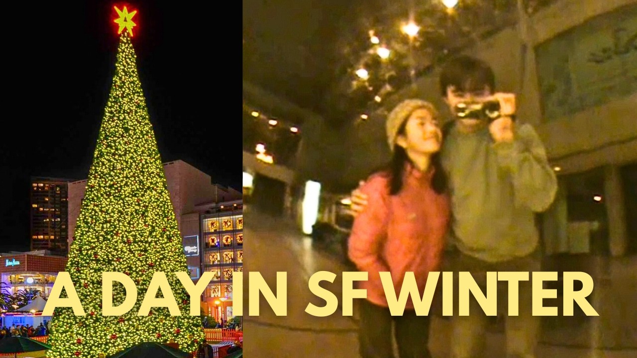 Christmas Trip to San Francisco | DCR-SX41