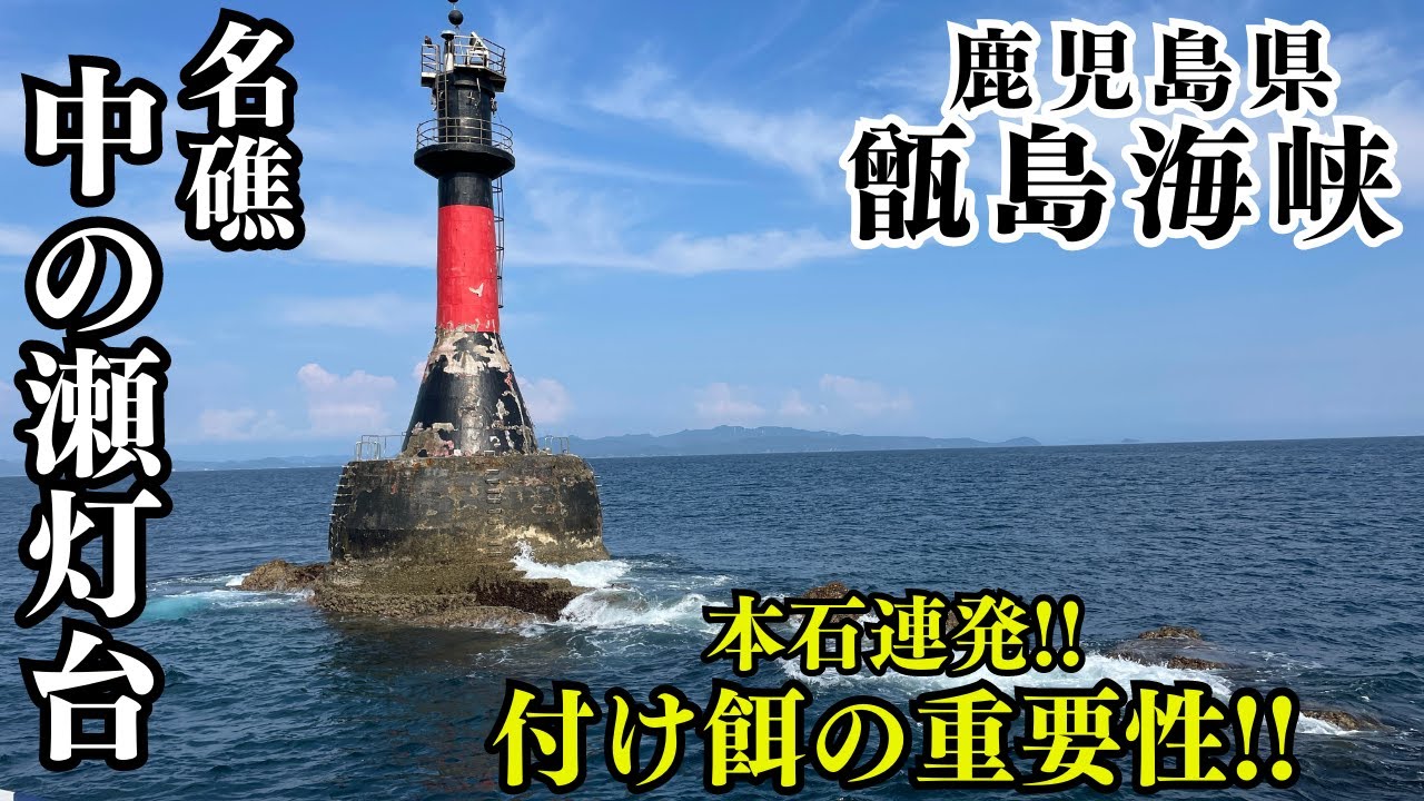【石鯛釣り】名礁『中の瀬灯台』磯の怪物 石鯛を狙うには付け餌は○○が一番❕