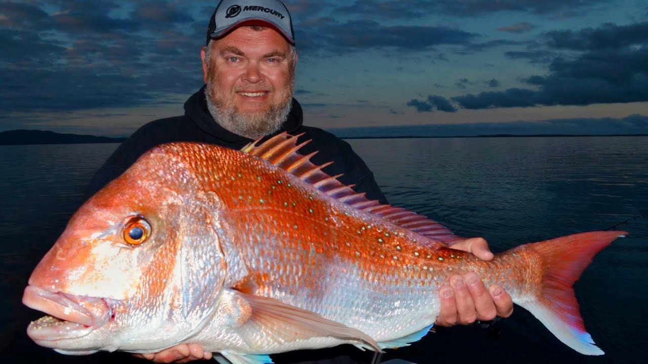 Fishing for mega red snapper at Port Welshpool!  See the Simrad sounder at work!