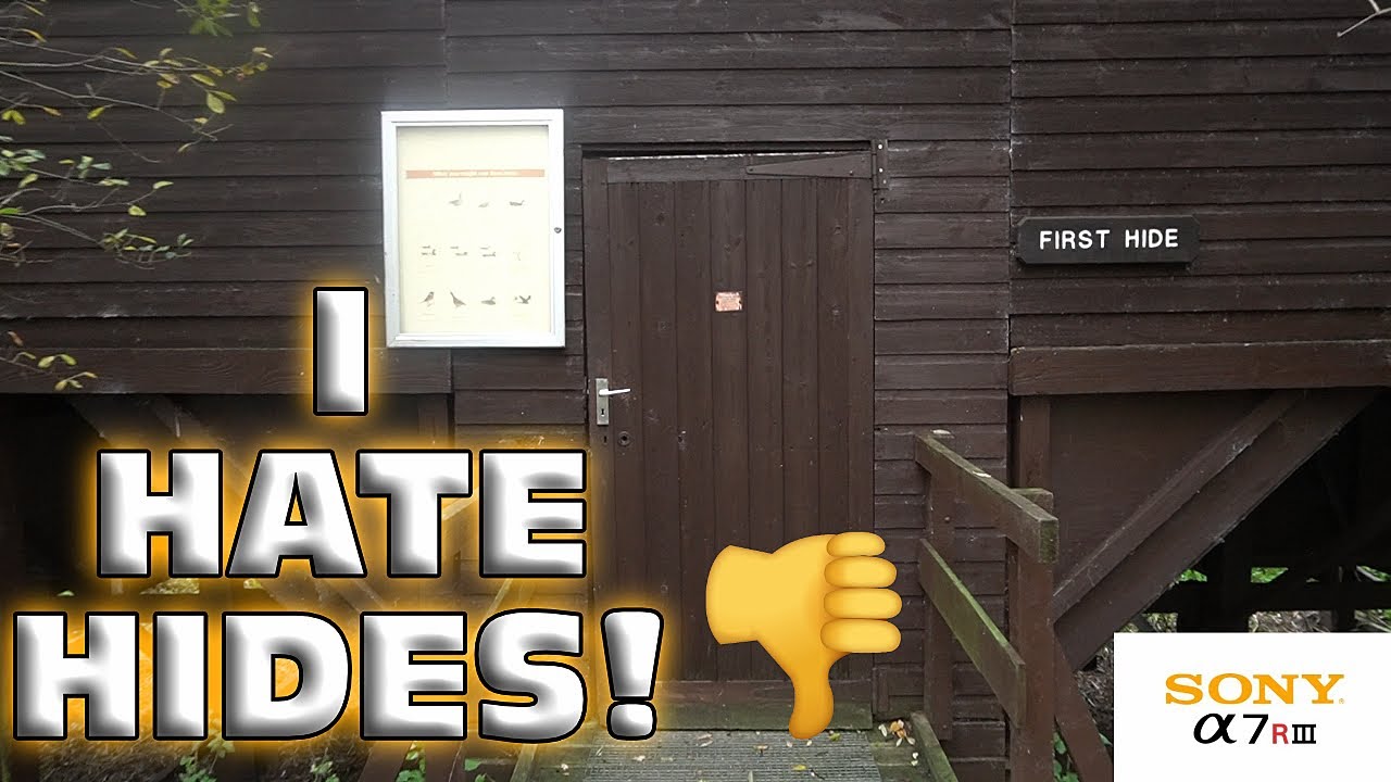 Can I Finally Be A Fan of Wildlife Viewing Hides After All?