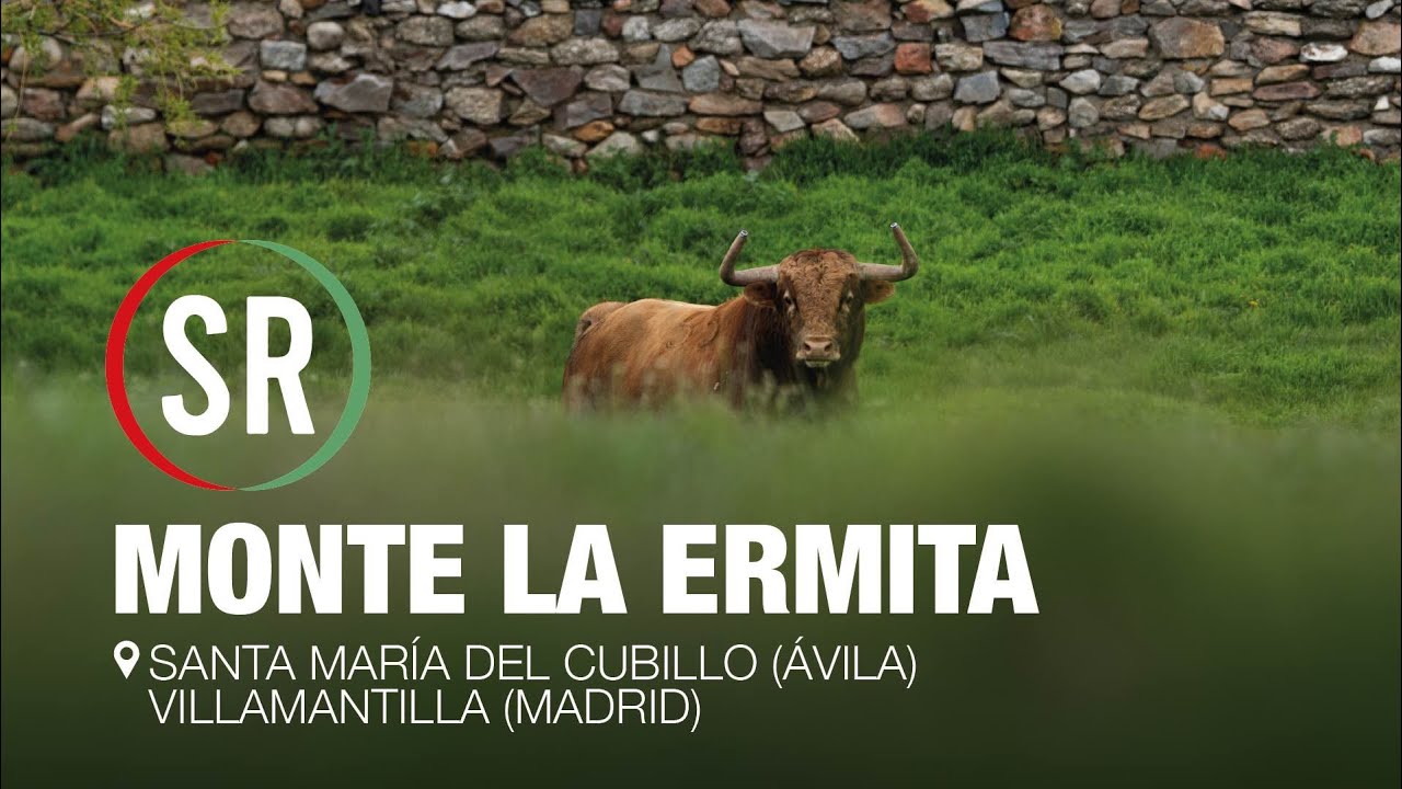 Desde dentro, la ganadería de MONTE LA ERMITA