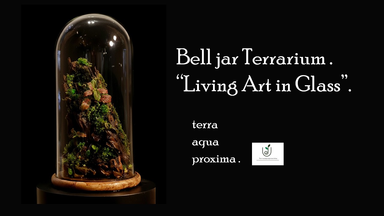 Bell jar terrarium, 