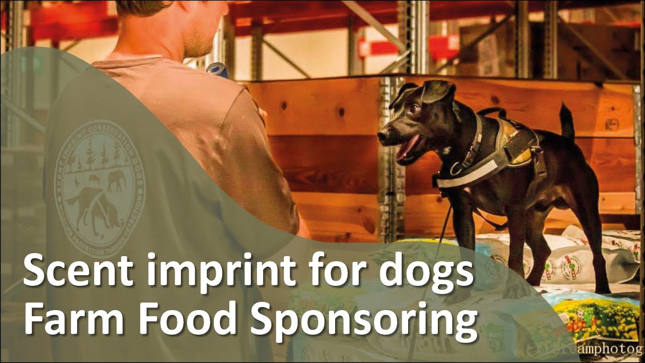 Farm Food Sponsoring - Scent imprint for dogs