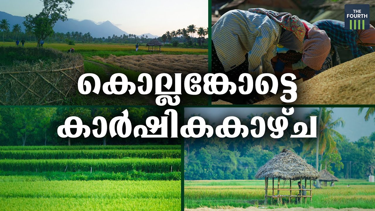 കണ്ടിരിക്കേണ്ട കാര്‍ഷിക ഗ്രാമം | Kollengode |  Palakkad