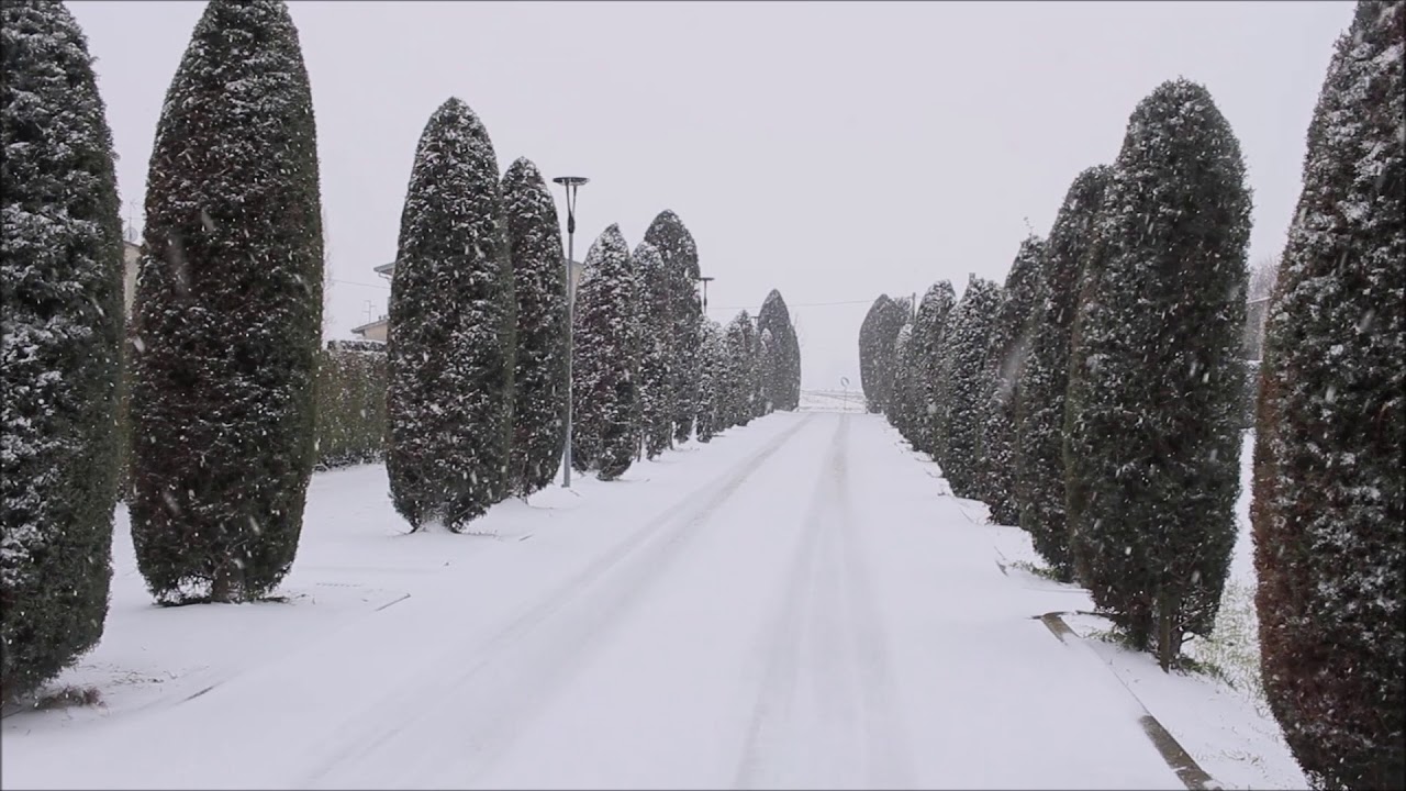 Neve a Legnaro (Padova) - 1 marzo 2018