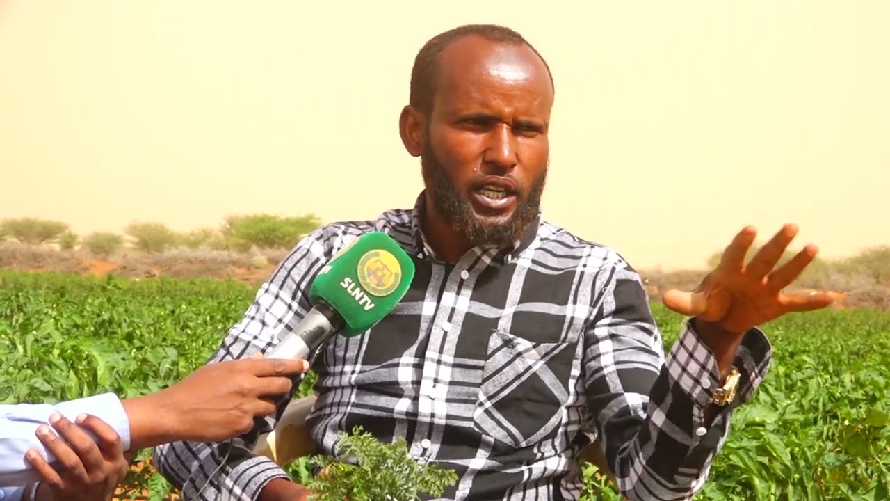16 kun oo geed oo barbaruuni ah ayaan ka beeray Dhul Oomane   Barnaamijka  Beeraha