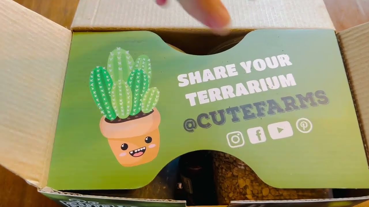 Cute Farms Terrarium Starter Kit | Honest Customer Review | Great Gift Idea #productreviews #ad