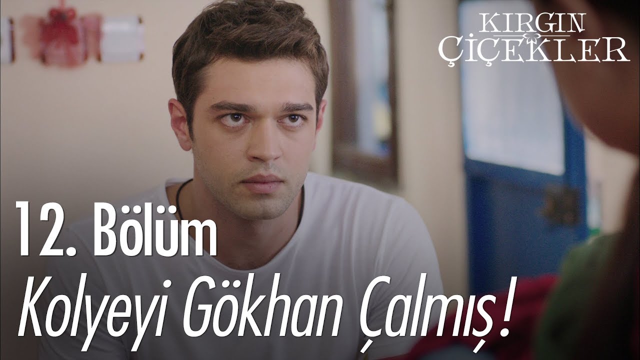 Kolyeyi Gökhan çalmış! - Kırgın Çiçekler 12. Bölüm