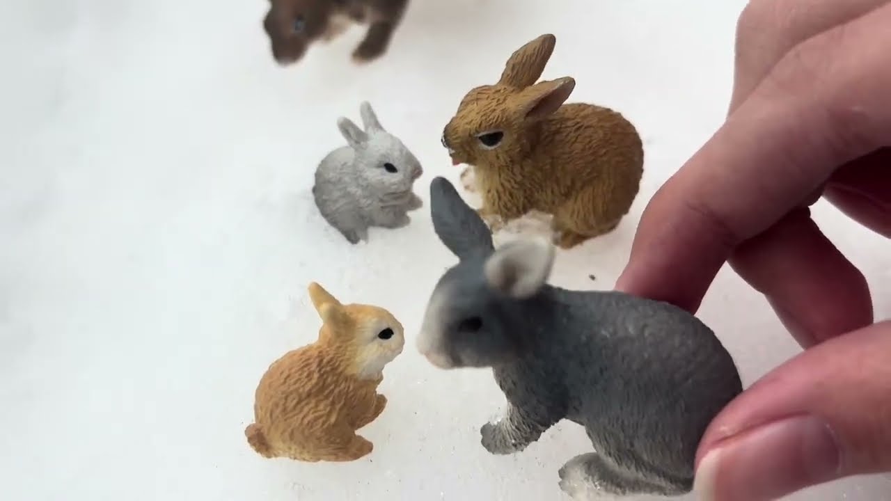 A Rabbit Story / Part 7