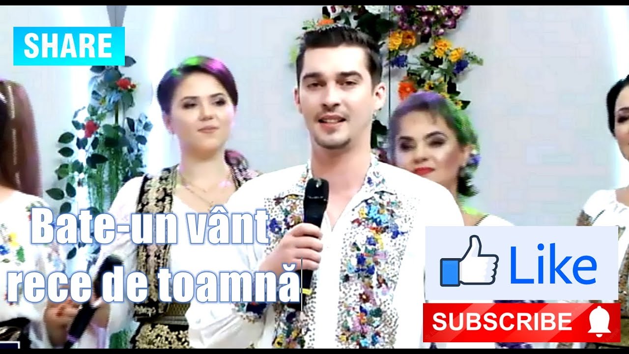 ALEXANDRU PATRASCU - Bate-un vant rece de toamna
