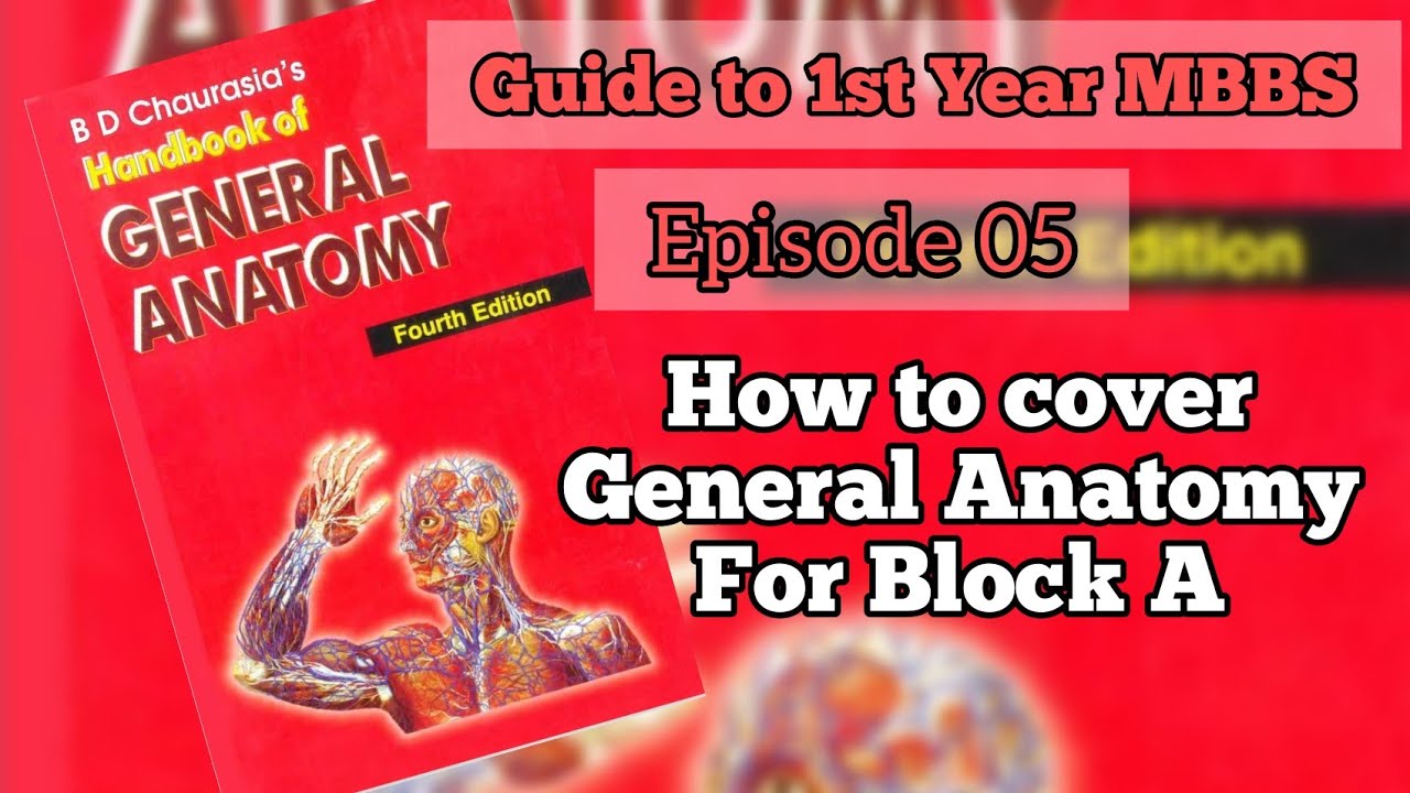 Ep 05: General Anatomy for Block A. Part 1. Important points. What to skip?