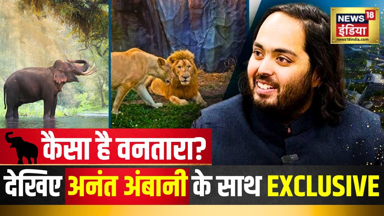 कैसा है VANTARA? जानिए खुद अनंत अंबानी से | Hindi News | Latest News | News18 | N18V