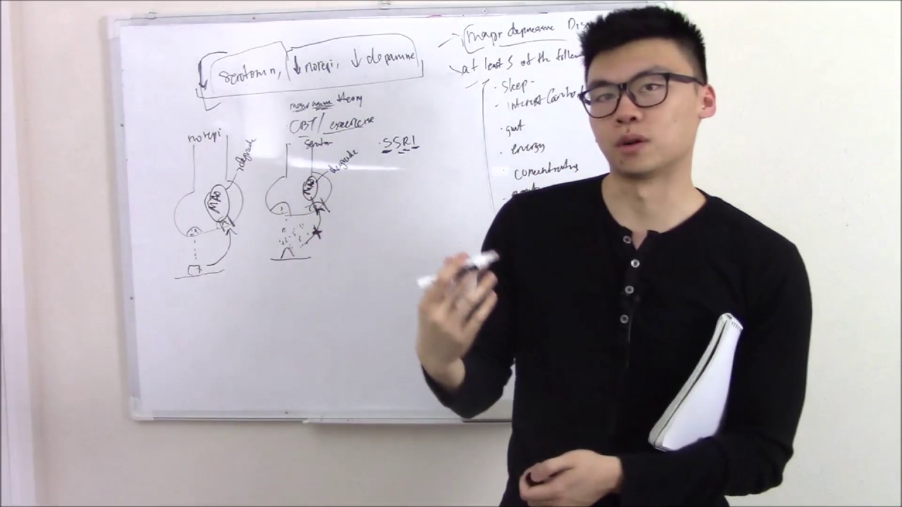 USMLE Psychiatry 4 Mood Disorders - Depression